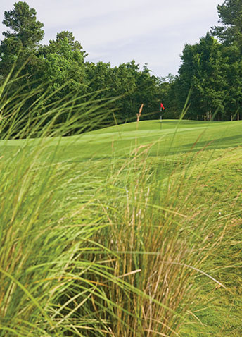 Enjoy The Carolinas' Finest Golfing